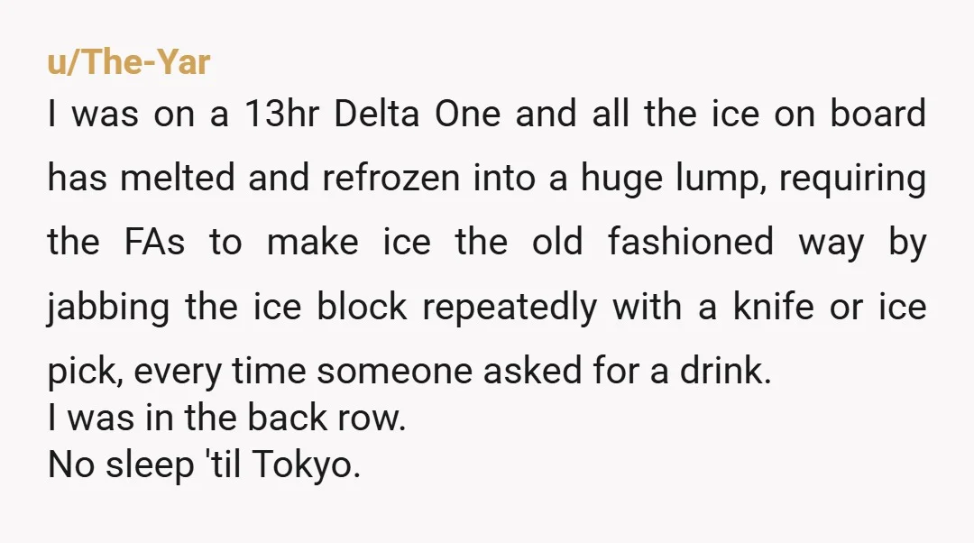 u/The-Yar I was on a 13hr Delta One and all the ice on board has melted and refrozen into a huge lump, requiring the FAs to make ice the old...