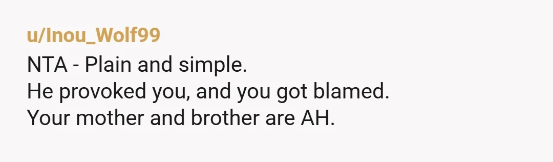 u/Inou_Wolf99 NTA - Plain and simple. He provoked you, and you got blamed. Your mother and brother are AH.