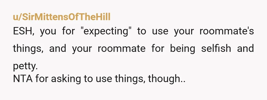 u/SirMittensOfTheHill
ESH, you for "expecting" to use your roommate's things, and your roommate for being selfish and petty.
NTA for asking to use things, though..