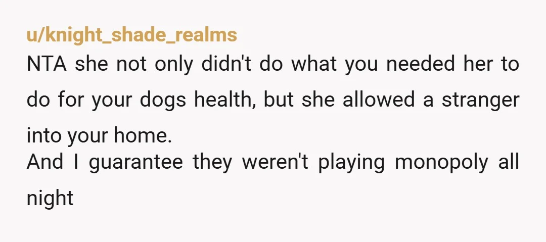 u/knight_shade_realms NTA she not only didn't do what you needed her to do for your dogs health, but she allowed a stranger into your home. And I guarantee they weren't...