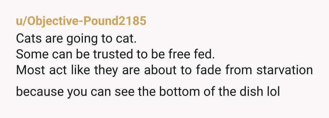 u/Objective-Pound2185 Cats are going to cat. Some can be trusted to be free fed. Most act like they are about to fade from starvation because you can see the bottom...