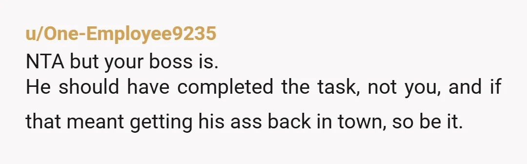 u/One-Employee9235
NTA but your boss is.
He should have completed the task, not you, and if that meant getting his ass back in town, so be it.