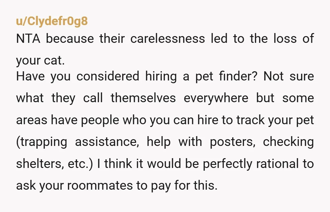u/Clydefr0g8 NTA because their carelessness led to the loss of your cat. Have you considered hiring a pet finder? Not sure what they call themselves everywhere but some areas have...