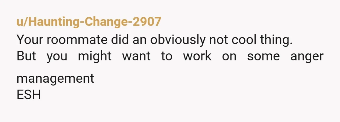 u/Haunting-Change-2907
Your roommate did an obviously not cool thing.
But you might want to work on some anger management 
ESH