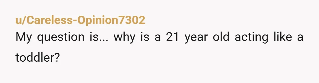 u/Careless-Opinion7302
My question is... why is a 21 year old acting like a toddler?