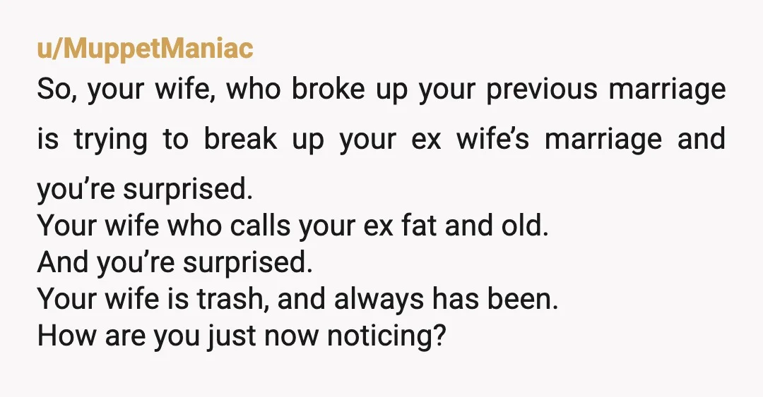 u/xzsazsa
Your wife is a walking red flag.  All she wants is the chase.
I think you should wise up.