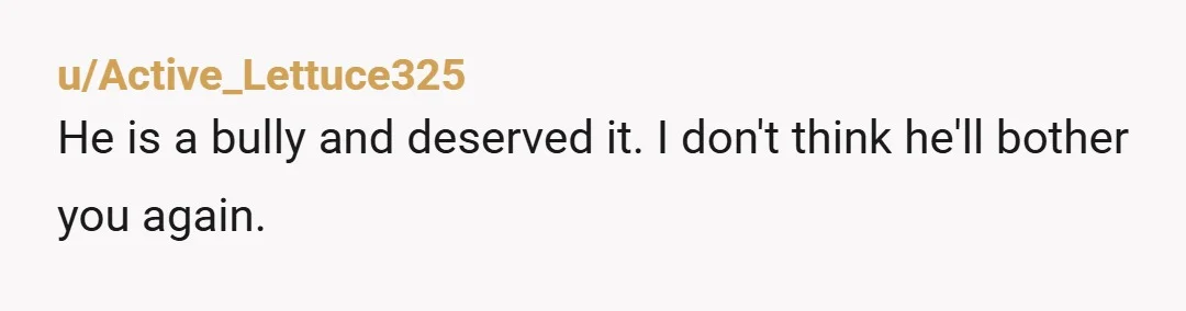 u/Active_Lettuce325 He is a bully and deserved it. I don't think he'll bother you again.
