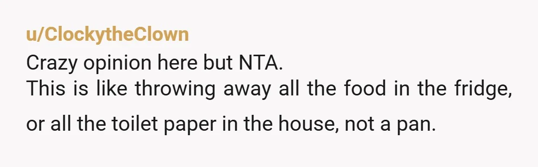 u/ClockytheClown Crazy opinion here but NTA. This is like throwing away all the food in the fridge, or all the toilet paper in the house, not a pan. If there...
