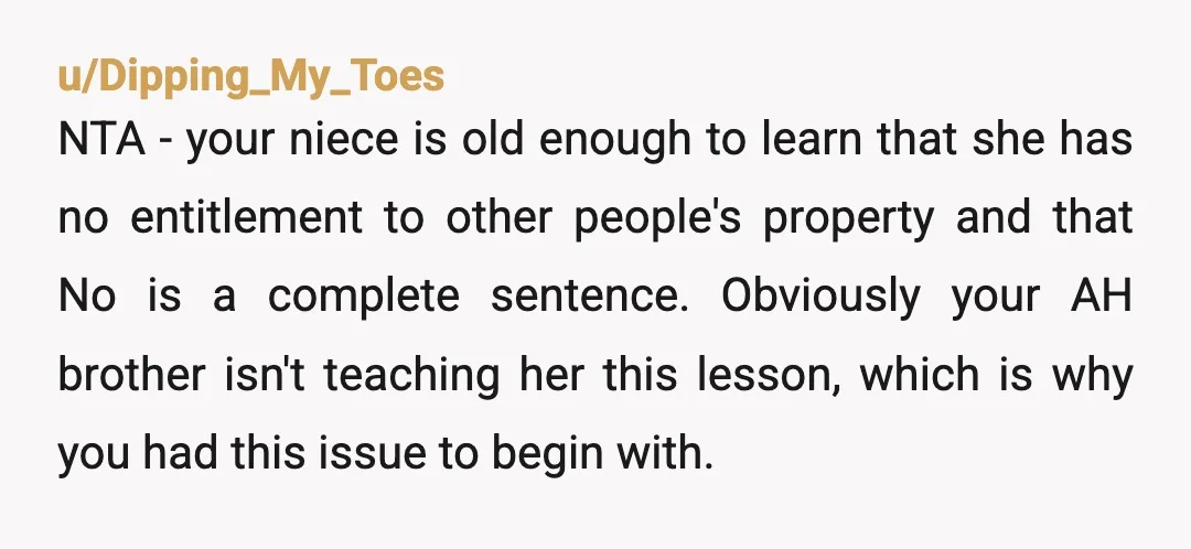 u/Dipping_My_Toes NTA - your niece is old enough to learn that she has no entitlement to other people's property and that No is a complete sentence. Obviously your AH brother...