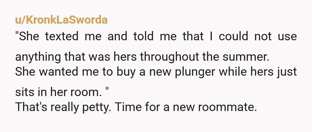 u/KronkLaSworda "She texted me and told me that I could not use anything that was hers throughout the summer. She wanted me to buy a new plunger while hers just...