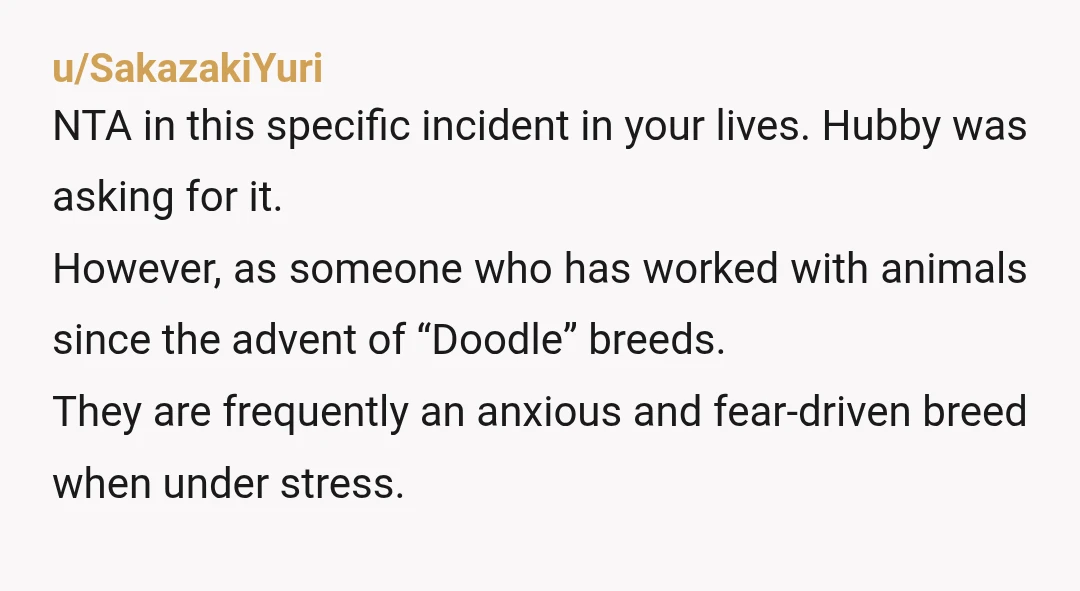u/Gabby_Craft ESH both of you sound extremely immature in this relationship. Like everyone else is saying it was extremely irresponsible of you two to get a large dog when you...