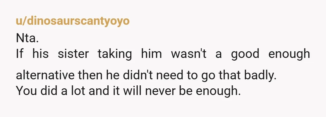 u/dinosaurscantyoyo
Nta.
If his sister taking him wasn't a good enough alternative then he didn't need to go that badly.
You did a lot and it will never be enough.