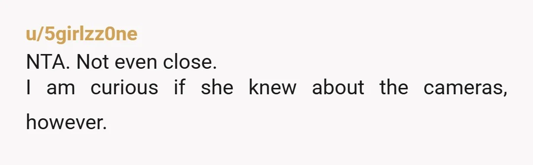 u/5girlzz0ne
NTA.  Not even close.
I am curious if she knew about the cameras, however.