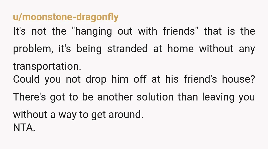 u/moonstone-dragonfly It's not the "hanging out with friends" that is the problem, it's being stranded at home without any transportation. Could you not drop him off at his friend's house?...