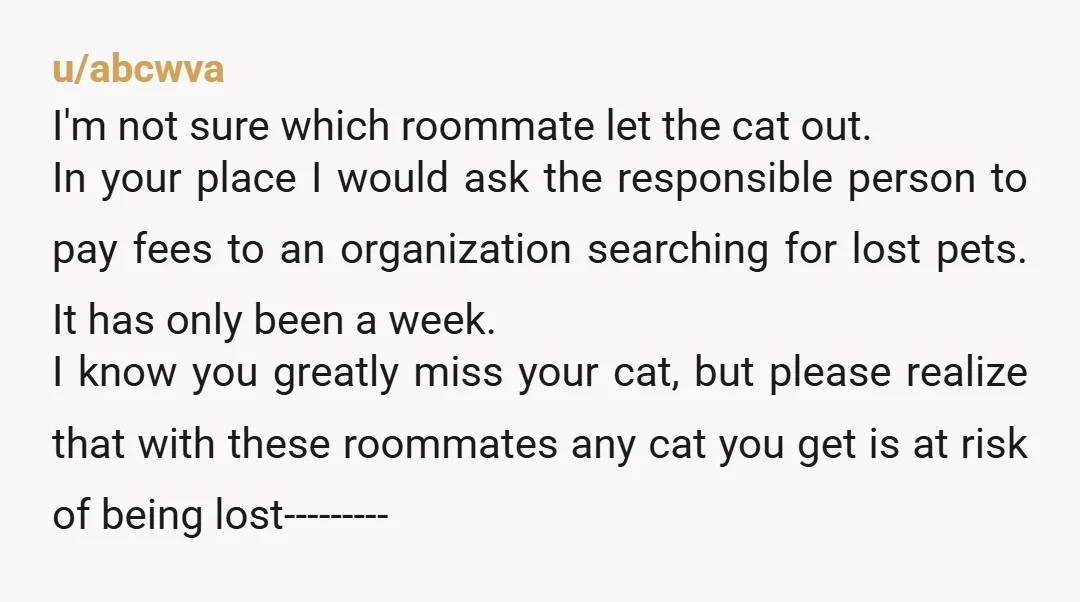 u/iluvcats17 NTA I would not get another cat while still living with the same roommates. And I would keep putting up flyers and check with a local rescue group about...