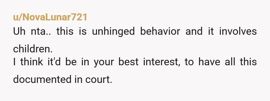 u/NovaLunar721
Uh nta.. this is unhinged behavior and it involves children.
I think it'd be in your best interest, to have all this documented in court.