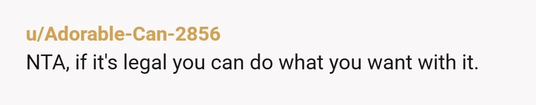u/Adorable-Can-2856
NTA, if it's legal you can do what you want with it.