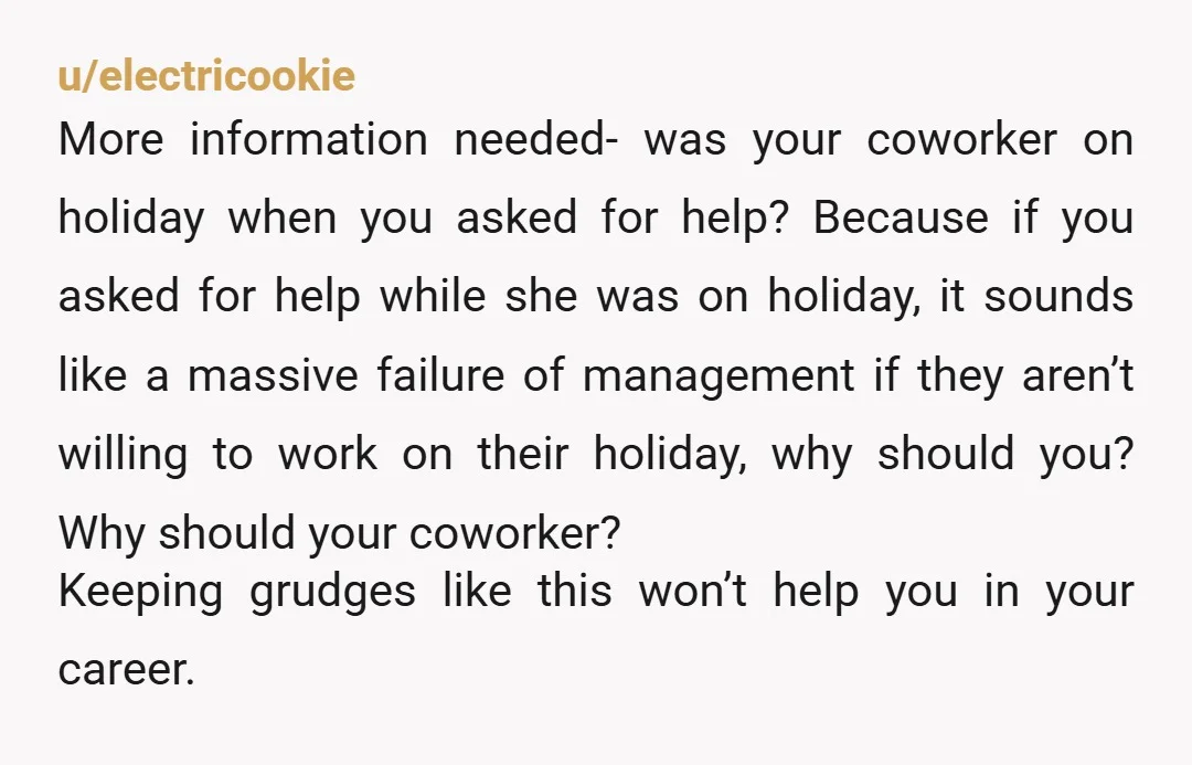 u/ConstantLeading7577 Why didn’t you just inform your managers that you were ill and expected to recuperate on your holiday and accordingly could not handle the work assigned. They then would’ve...