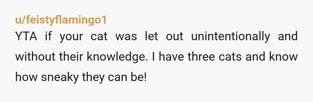 u/SevsMumma21217 YWBTA I understand how upset you are. But I also know that if you've owned a cat for six years than you KNOW how sneaky, clever, and resourceful they...