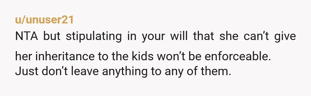 u/unuser21
NTA but stipulating in your will that she can’t give her inheritance to the kids won’t be enforceable.
Just don’t leave anything to any of them.