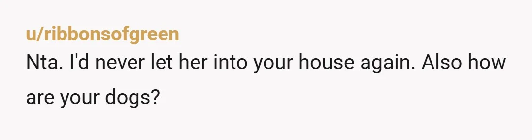 u/ribbonsofgreen
Nta. I'd never let her into your house again. Also how are your dogs?