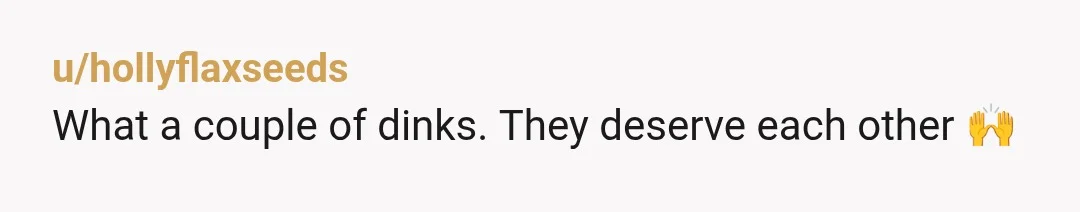 u/hollyflaxseeds
What a couple of dinks. They deserve each other 🙌