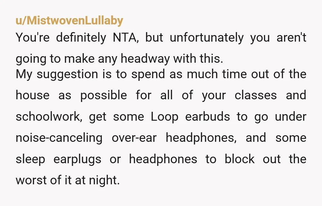 u/singlemuslima A temporary solution until you graduate is to study at the library. Or get noise cancelling headphones and a lock. And stop cleaning after them (especially after reading that...