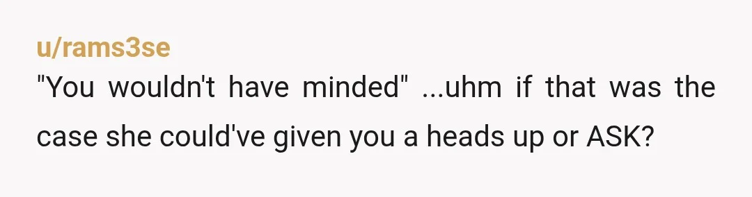 u/rams3se
"You wouldn't have minded" ...uhm if that was the case she could've given you a heads up or ASK?