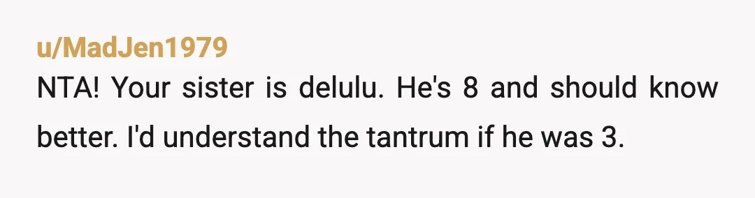 u/MadJen1979
NTA! Your sister is delulu. He's 8 and should know better. I'd understand the tantrum if he was 3.