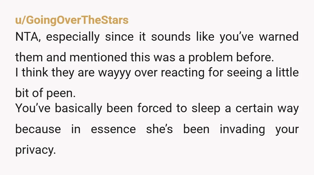 u/imrllytiredomg I am between NTA and ESH. You should have thought this through more. Here's what I would say: I didn't invite her into my room, and I would have...