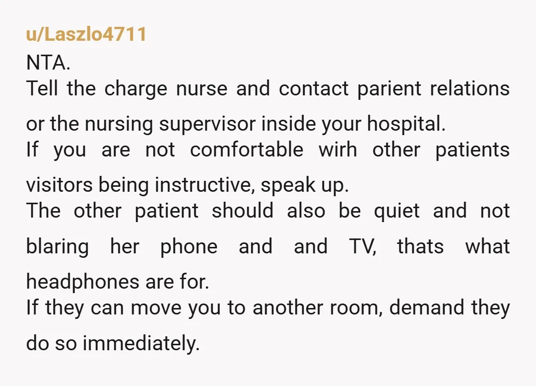 u/Laszlo4711 NTA. Tell the charge nurse and contact parient relations or the nursing supervisor inside your hospital. If you are not comfortable wirh other patients visitors being instructive, speak up....