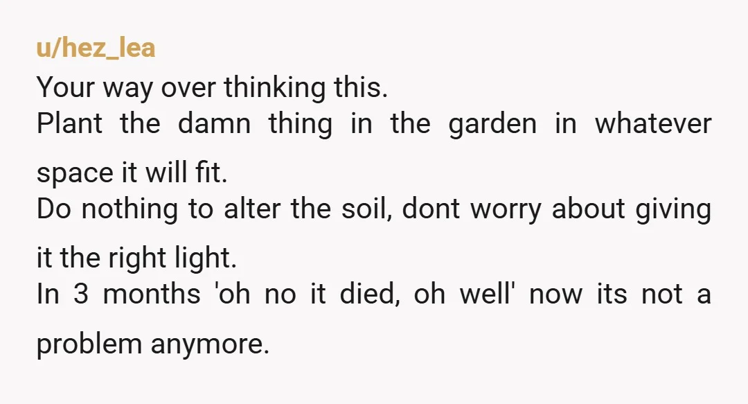 u/hez_lea Your way over thinking this. Plant the damn thing in the garden in whatever space it will fit. Do nothing to alter the soil, dont worry about giving it...