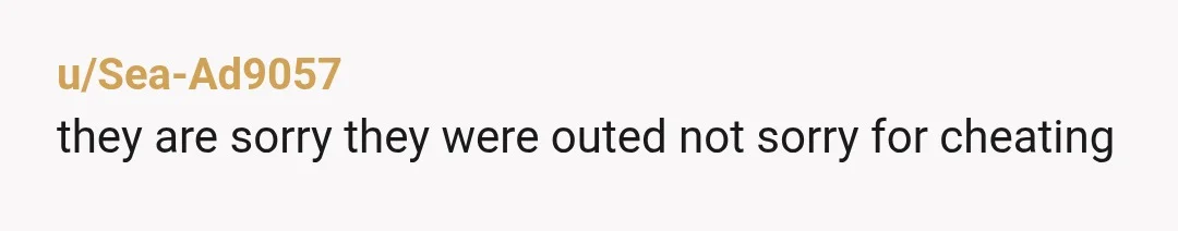 u/Sea-Ad9057
they are sorry they were outed not sorry for cheating