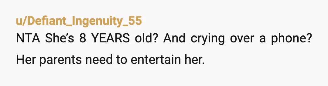 u/WholeAd2742
NTA.
Your brother and SIL should have planned and brought stuff to entertain your niece.
Their kid, their responsibility
