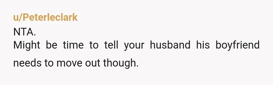 u/Peterleclark
NTA.
Might be time to tell your husband his boyfriend needs to move out though.