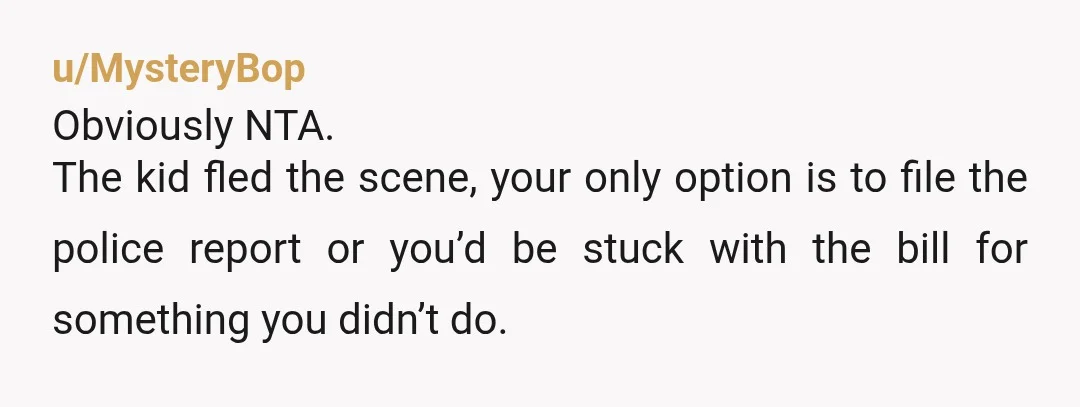 u/MysteryBop
Obviously NTA.
The kid fled the scene, your only option is to file the police report or you’d be stuck with the bill for something you didn’t do.