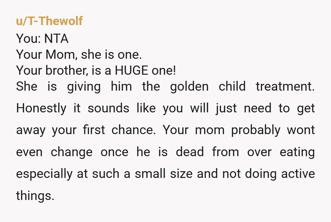 u/T-Thewolf You: NTA Your Mom, she is one. Your brother, is a HUGE one! She is giving him the golden child treatment. Honestly it sounds like you will just need...