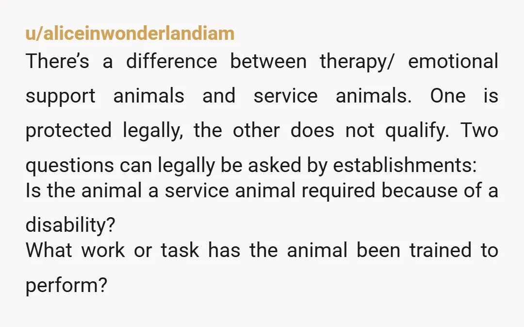 u/Witty_Direction6175 First congratulations on your upcoming wedding! Just so you know, in the US just putting on a “service dog vest” does NOT make a dog legally a service dog....