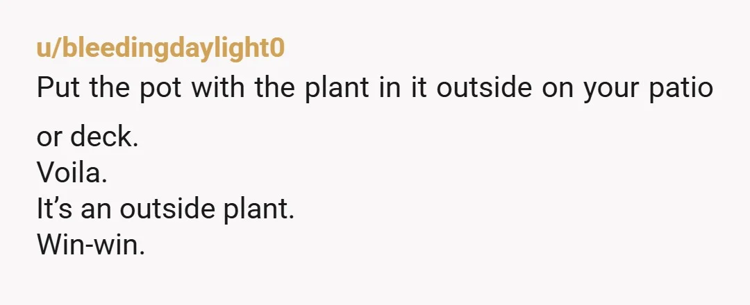 u/bleedingdaylight0
Put the pot with the plant in it outside on your patio or deck.
Voila.
It’s an outside plant.
Win-win.