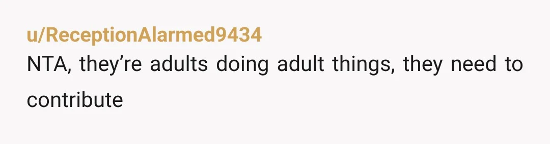 u/ReceptionAlarmed9434 NTA, they’re adults doing adult things, they need to contribute