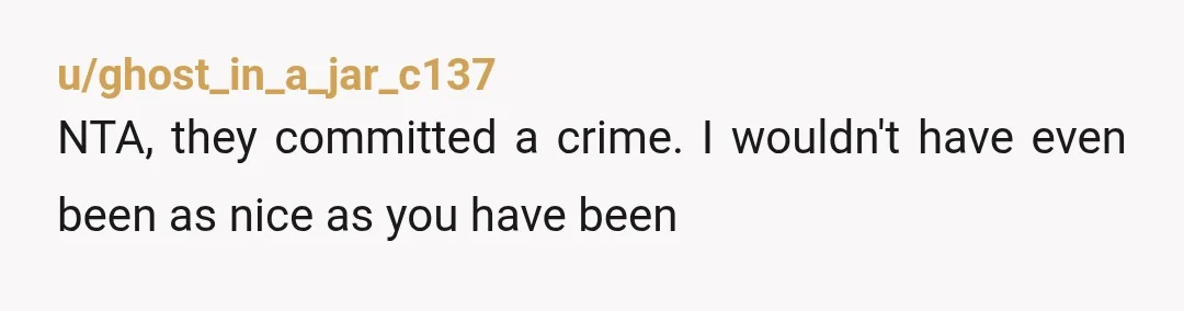 u/ghost_in_a_jar_c137
NTA, they committed a crime. I wouldn't have even been as nice as you have been