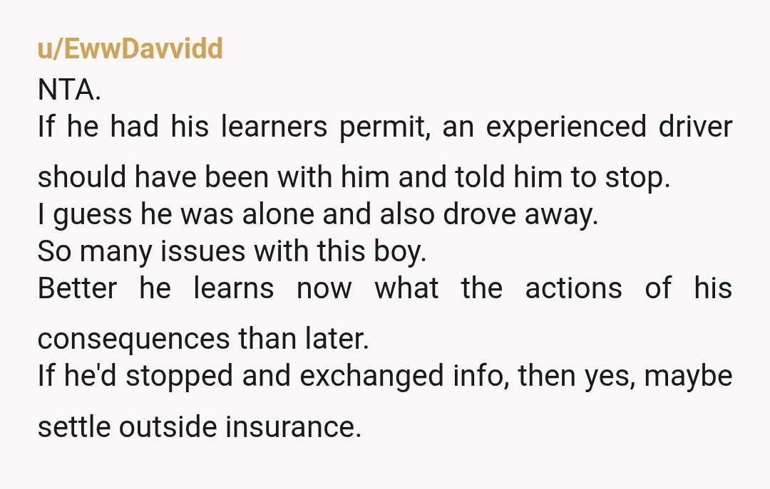 u/EwwDavvidd NTA. If he had his learners permit, an experienced driver should have been with him and told him to stop. I guess he was alone and also drove away....