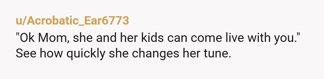 u/Guilty_Following8394 NTA. Sometimes the truth is cruel but your sister needed to hear it. She has 3 young children and needs to start acting like it. Tell your sister to...