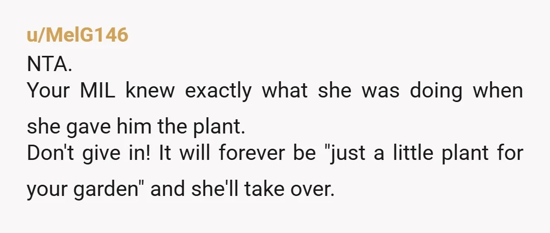 u/MelG146 NTA. Your MIL knew exactly what she was doing when she gave him the plant. Don't give in! It will forever be "just a little plant for your garden"...