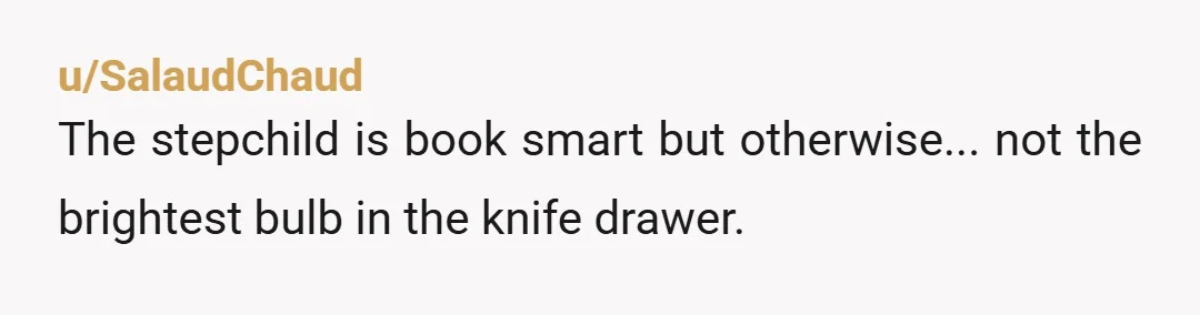 u/SalaudChaud
The stepchild is book smart but otherwise... not the brightest bulb in the knife drawer.