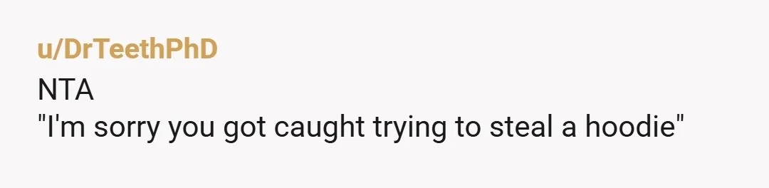 u/DrTeethPhD
NTA
"I'm sorry you got caught trying to steal a hoodie"