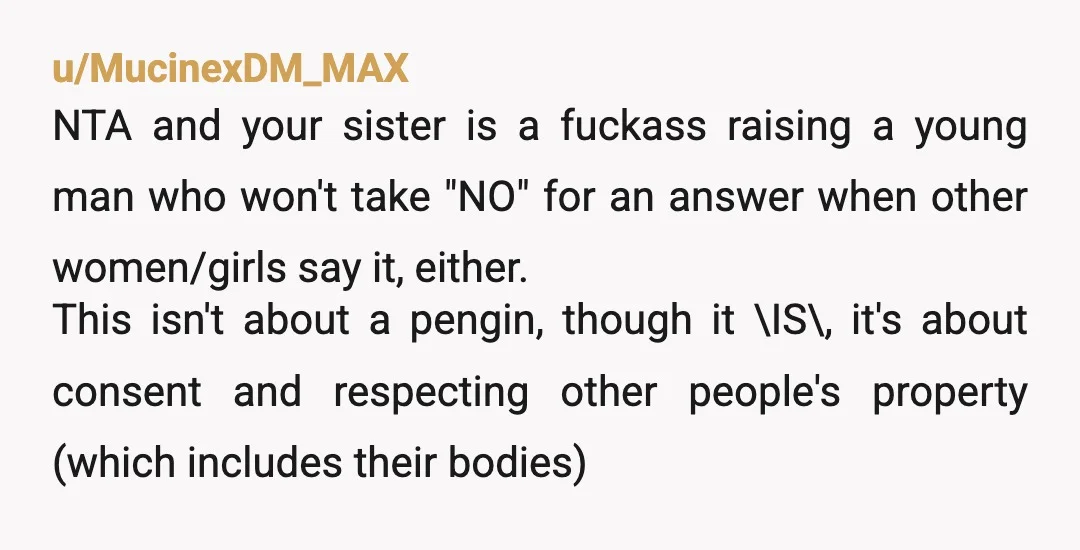 u/MucinexDM_MAX NTA and your sister is a fuckass raising a young man who won't take "NO" for an answer when other women/girls say it, either. This isn't about a pengin,...