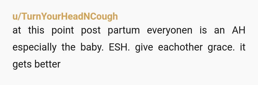 u/Charmed_61664 All y'all are forgetting they already have a 4 yr old. They aren't inexperienced new parents but she IS definitely not considering all that OP is already doing and...