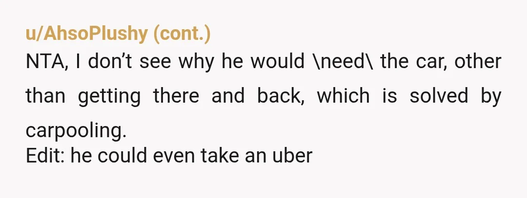 u/LovableSquish
Nothing wrong with him seeing his friends every other week, but he should carpool or have you drop him off while you go do stuff w your brother. NTA