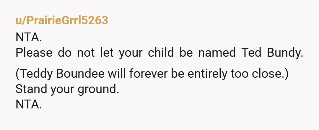 u/OilSeeYouL8er Uh... ya Nta. theodora/thea would work okay (even then it's on the edge) but you absolutely can not name a child ted bundy oh my god. I'm sure there...